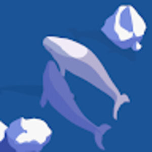 Meet your Posher, Addy